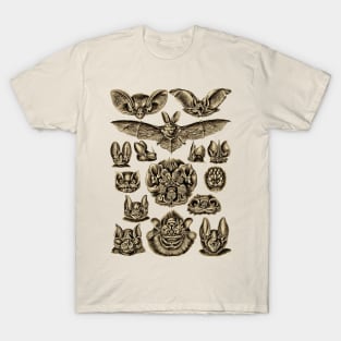 Ernst Haeckel  Bats Sepia T-Shirt